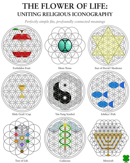 acupuncture for seniors

senior acupuncture Treasure Coast

acupuncture Stuart Florida

acupuncture for elderly patients

gentle acupuncture treatment
